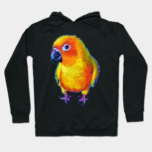 Aesop, the Sun Conure by Robert Phelps Hoodie